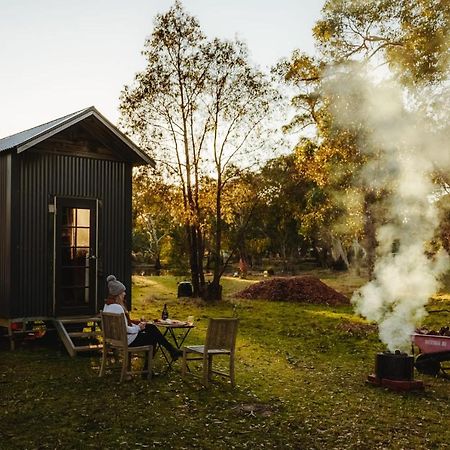 Villa Ardingly Tiny House à Newham Extérieur photo