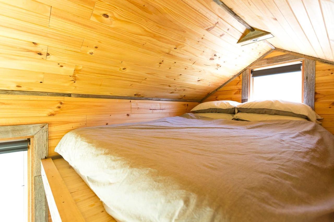 Villa Ardingly Tiny House à Newham Extérieur photo