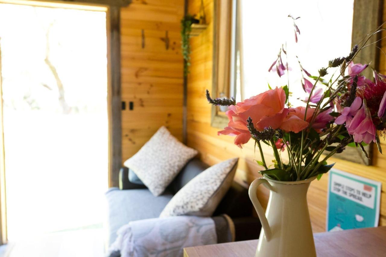 Villa Ardingly Tiny House à Newham Extérieur photo