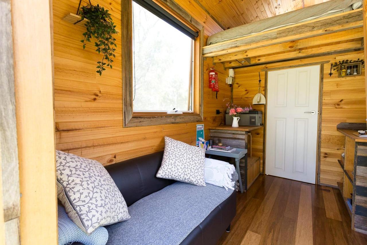 Villa Ardingly Tiny House à Newham Extérieur photo