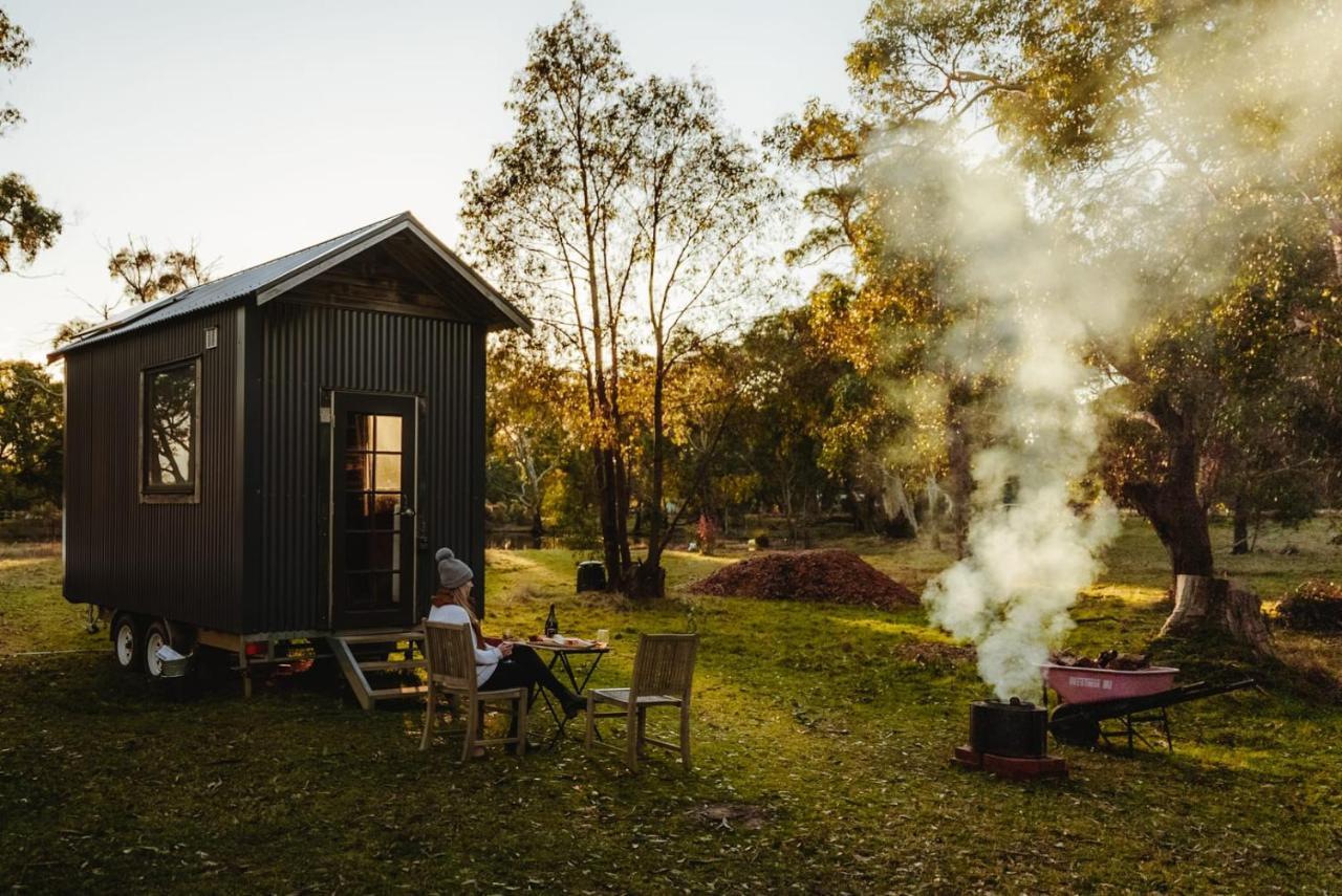 Villa Ardingly Tiny House à Newham Extérieur photo
